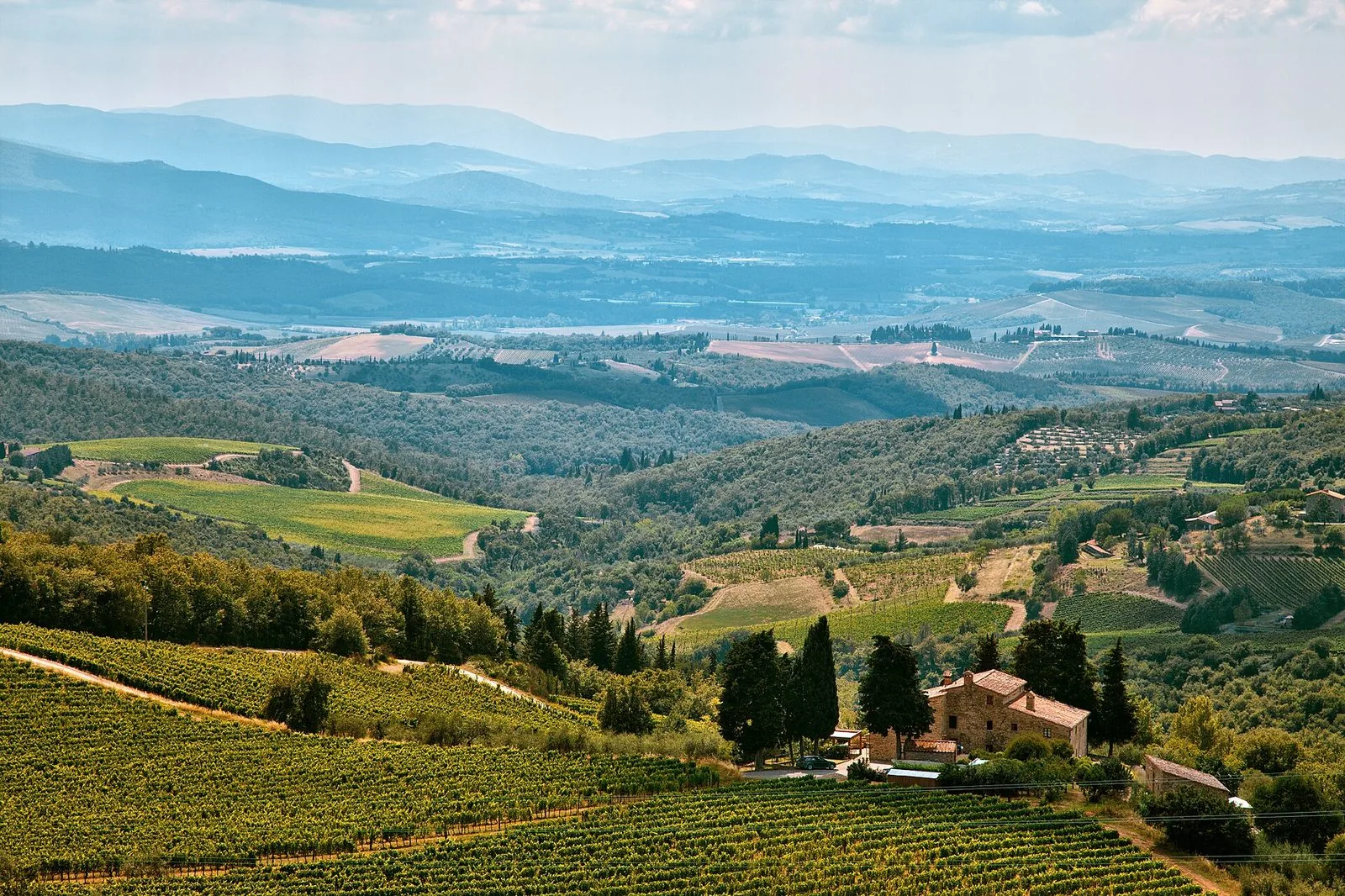 Le colline del Chianti viste dall'alto in estate: filari di vigne in primo piano, un casale in pietra tra i cipressi e, sullo sfondo, valli boscose e oliveti che sfumano nella foschia